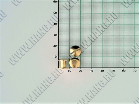 Болты металл.Gold 6мм (уп-100шт)