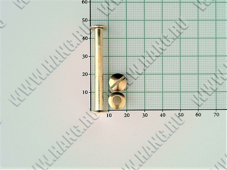 Болты металл.Gold 45мм (уп-100шт)