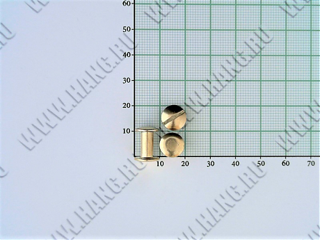 Болты металл.Gold 10мм (уп-100шт)