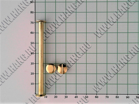 Болты металл.Gold 70мм (уп-100шт)